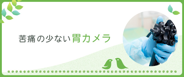 苦痛の少ない胃カメラ